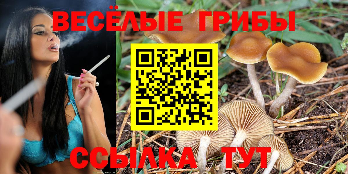 Псилоцибиновые грибы MAGIC MUSHROOMS Егорьевск