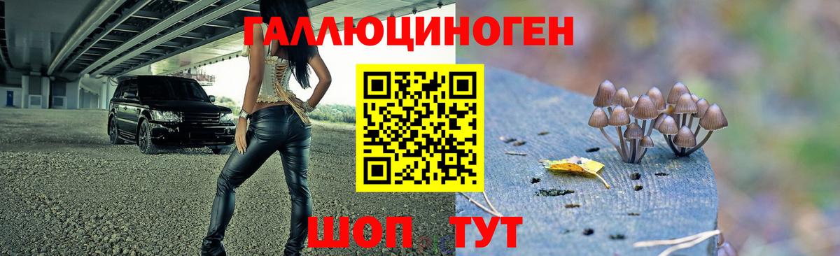 Егорьевск  наркота  Вход с VPN  Галлюциногенные грибы Cubensis 